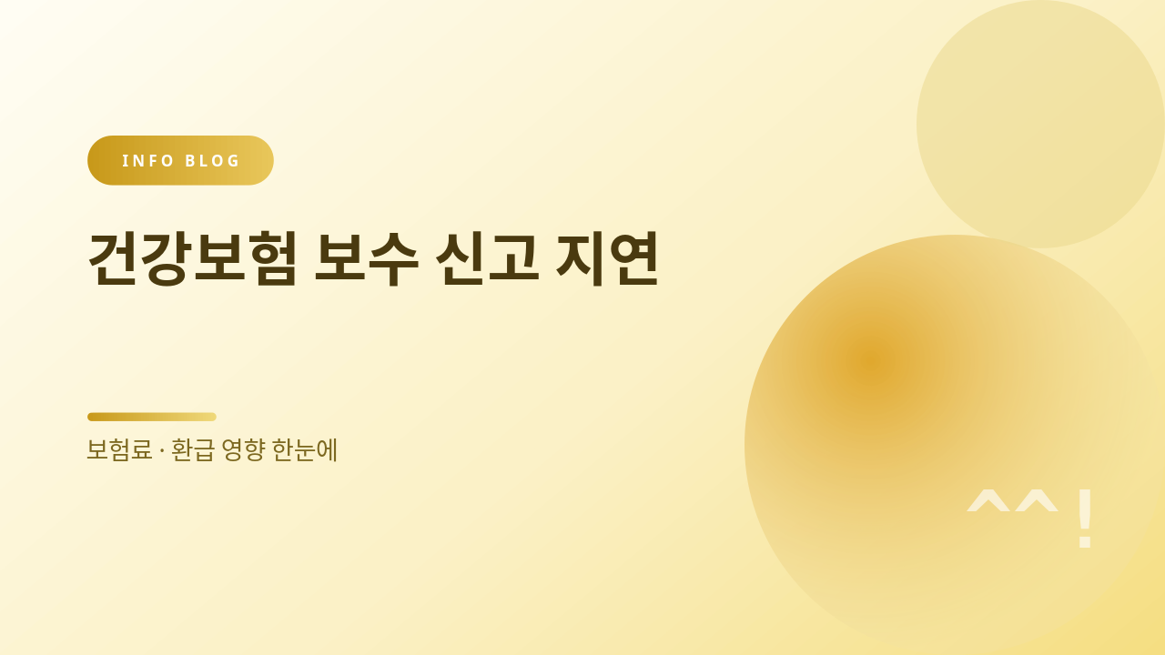 건강보험 보수 신고 지연 썸네일